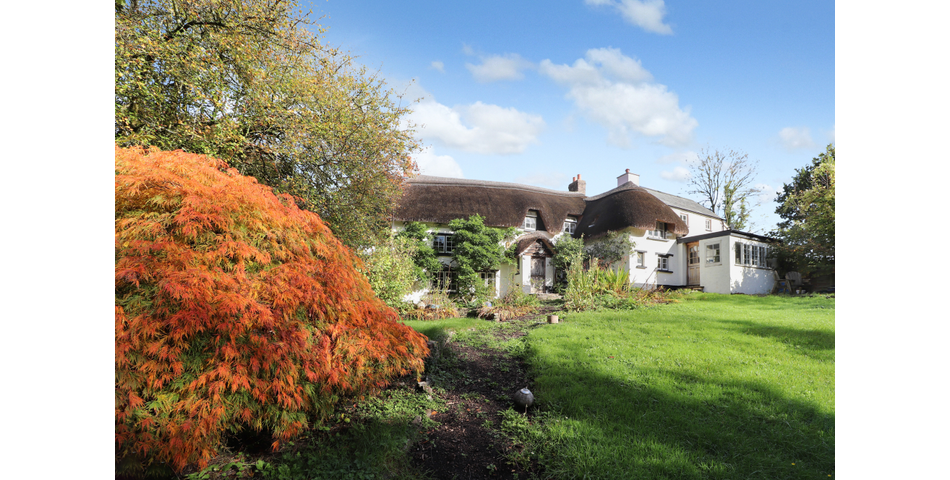 16TH CENTURY THATCHED COTTAGE THREE DOUBLE BEDROOMS SOUTH FACING REAR GARDEN SPACIOUS KITCHEN/DINER 