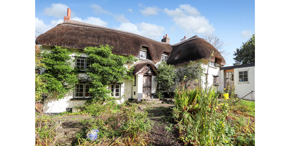16TH CENTURY THATCHED COTTAGE THREE DOUBLE BEDROOMS SOUTH FACING REAR GARDEN SPACIOUS KITCHEN/DINER 