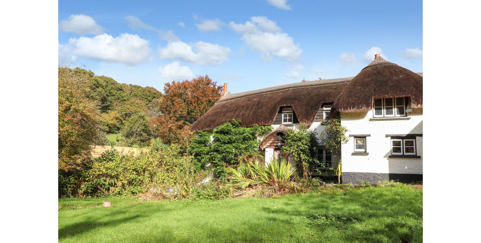 16TH CENTURY THATCHED COTTAGE THREE DOUBLE BEDROOMS SOUTH FACING REAR GARDEN SPACIOUS KITCHEN/DINER 