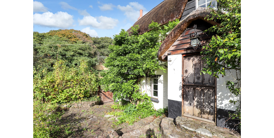 16TH CENTURY THATCHED COTTAGE THREE DOUBLE BEDROOMS SOUTH FACING REAR GARDEN SPACIOUS KITCHEN/DINER 