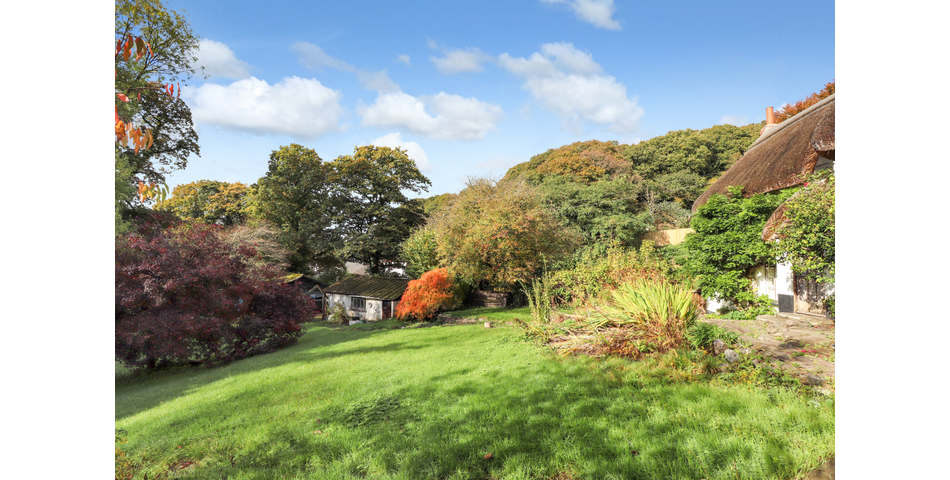 16TH CENTURY THATCHED COTTAGE THREE DOUBLE BEDROOMS SOUTH FACING REAR GARDEN SPACIOUS KITCHEN/DINER 