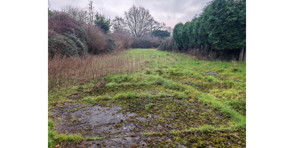 DETACHED GRADE II FARMHOUSE WITH BARNS AND PADDOCK OFFERING IMMENSE POTENTIAL