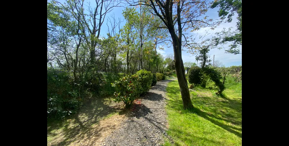 Middlecotte Garden Virginstow Beawrothy Devon EX21 5EB