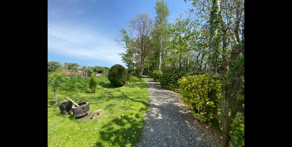 Middlecotte Garden Virginstow Beawrothy Devon EX21 5EB