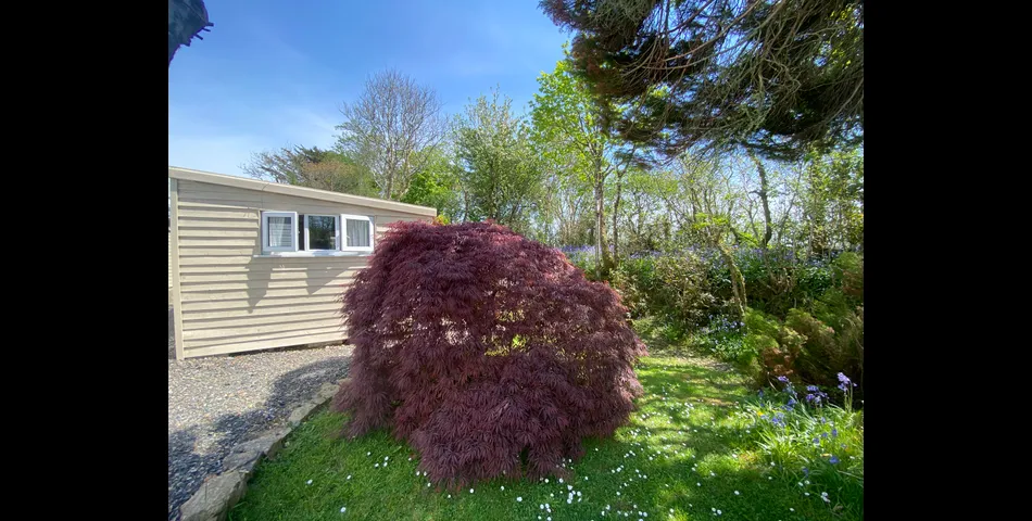 Middlecotte Garden Virginstow Beawrothy Devon EX21 5EB