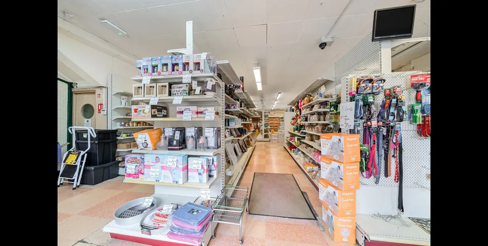 Exciting Town Centre Development Opportunity — Flexible Use Potential & Auction Sale