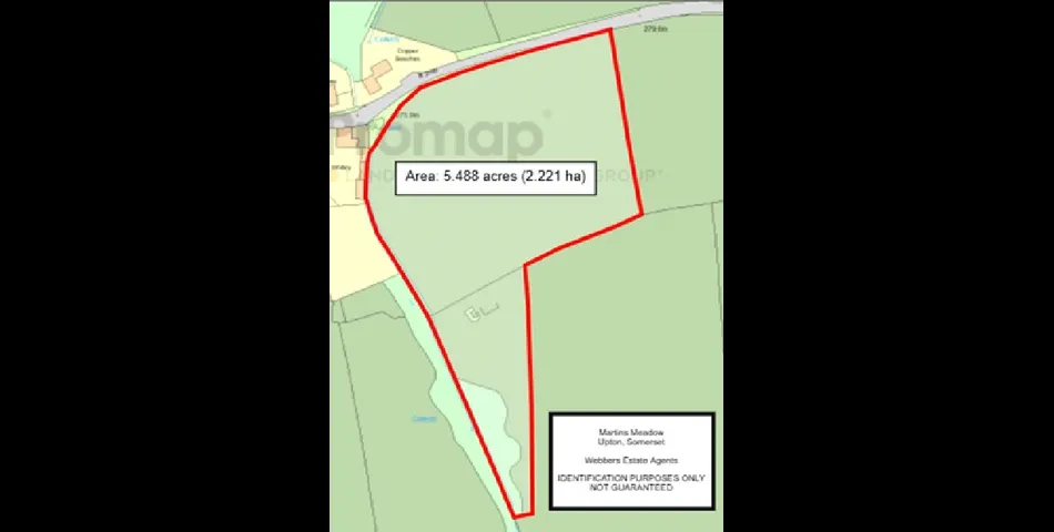 Martins Meadow