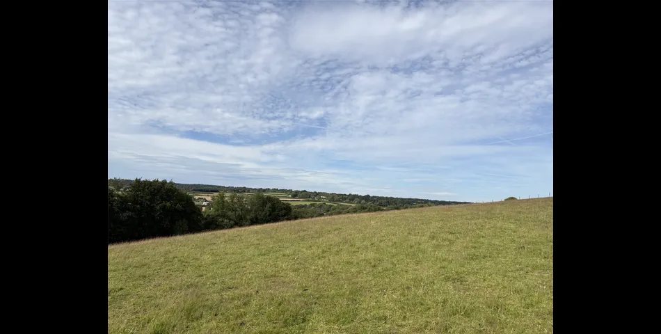 Martins Meadow