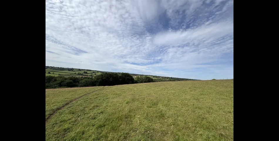 Martins Meadow
