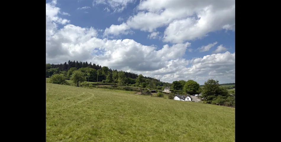 Martins Meadow