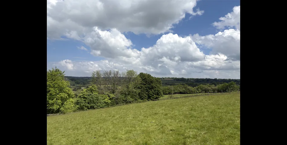 Martins Meadow