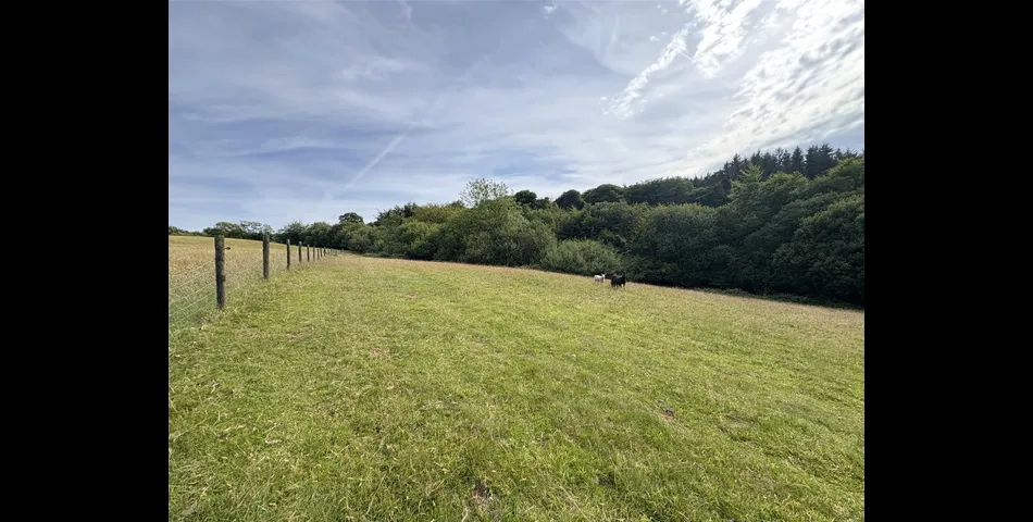 Martins Meadow