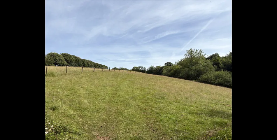 Martins Meadow