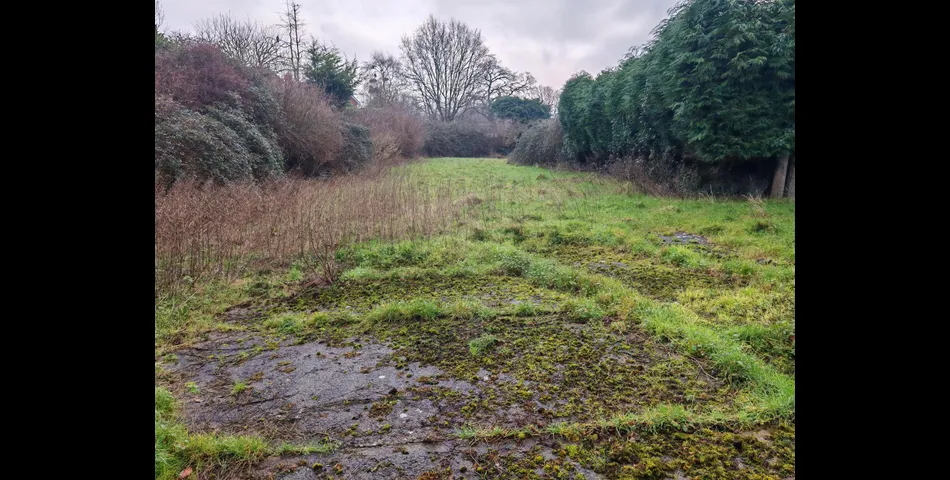 DETACHED GRADE II FARMHOUSE WITH BARNS AND PADDOCK OFFERING IMMENSE POTENTIAL