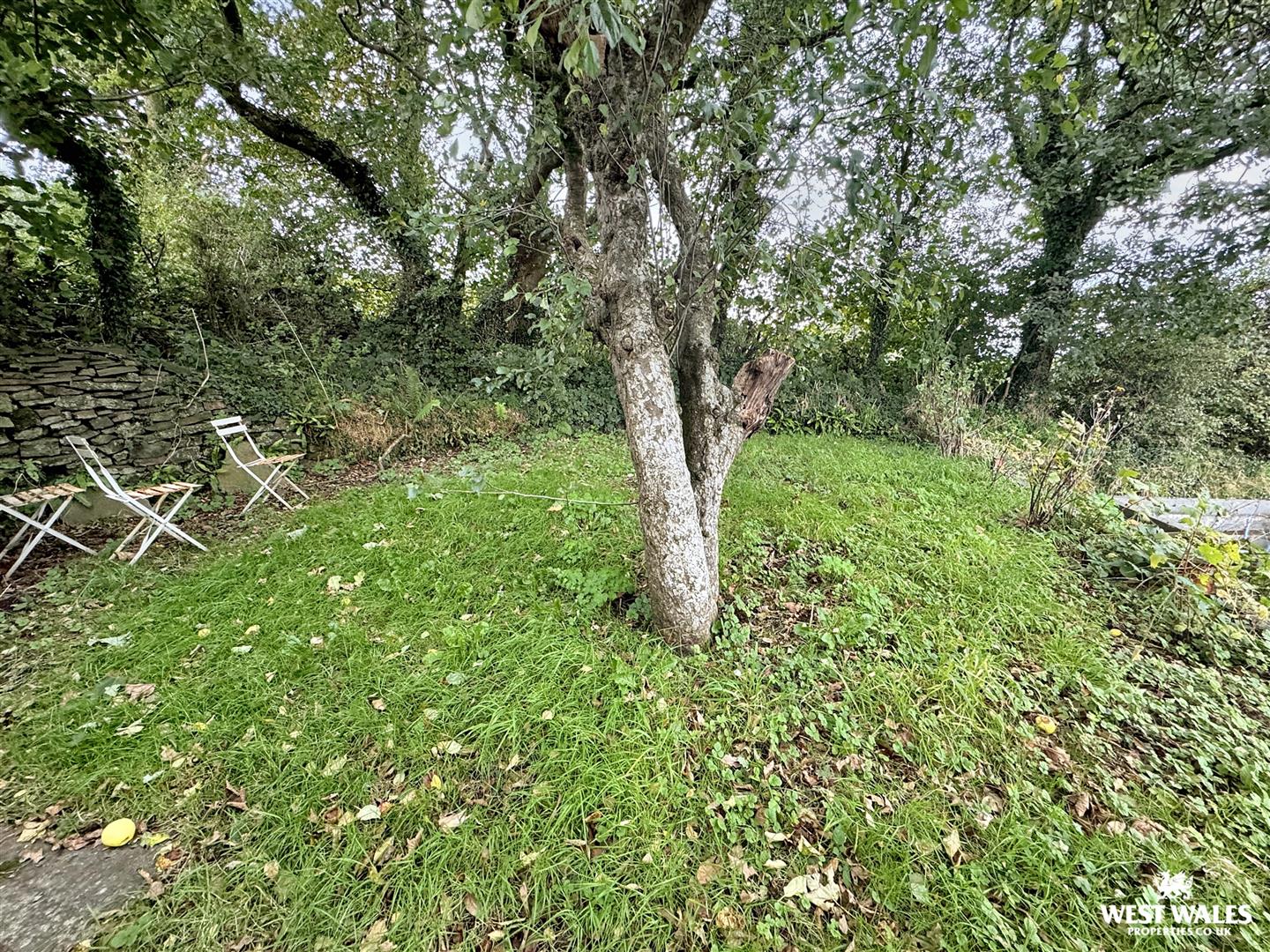 5 bed Terraced