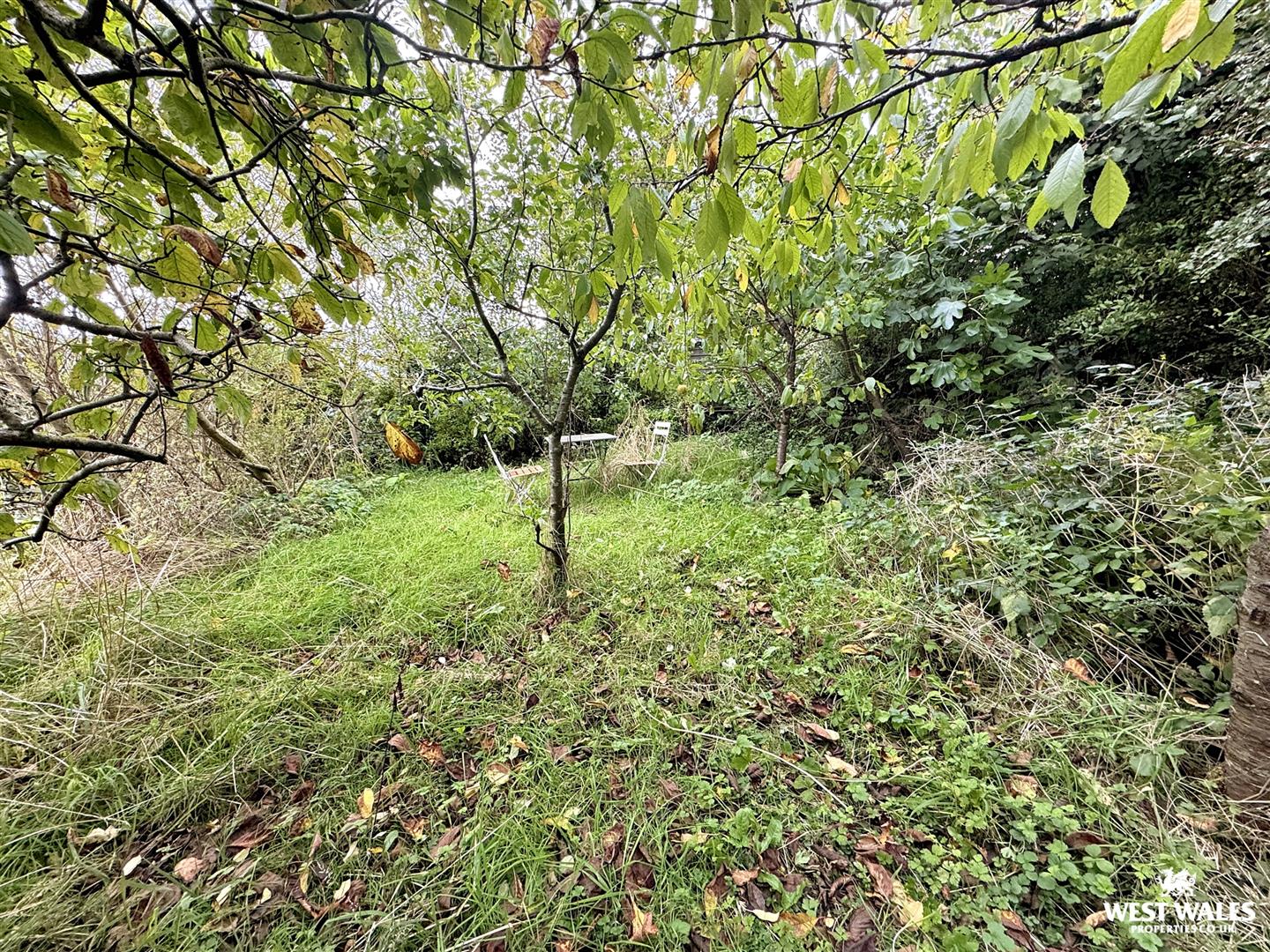 5 bed Terraced