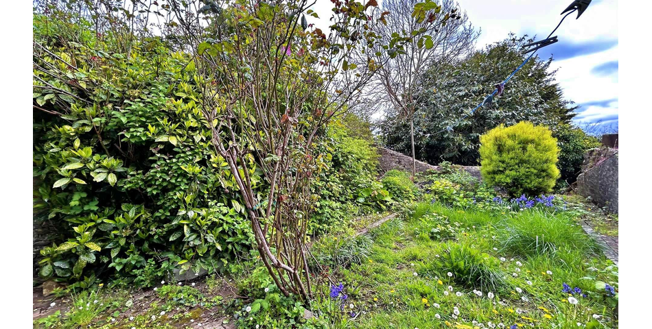 Merlins Terrace, Haverfordwest