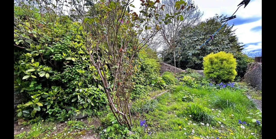 Merlins Terrace, Haverfordwest
