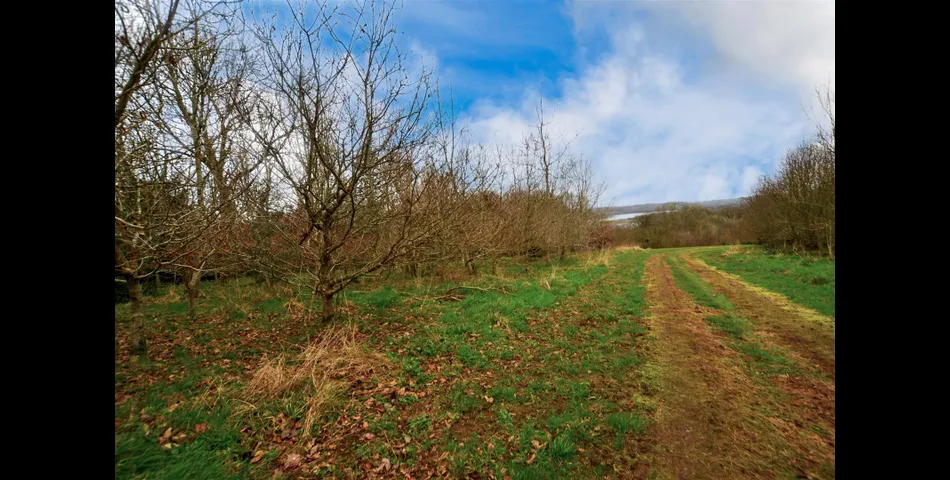  A unique parcel of land within Pembrokeshire Coast National Park