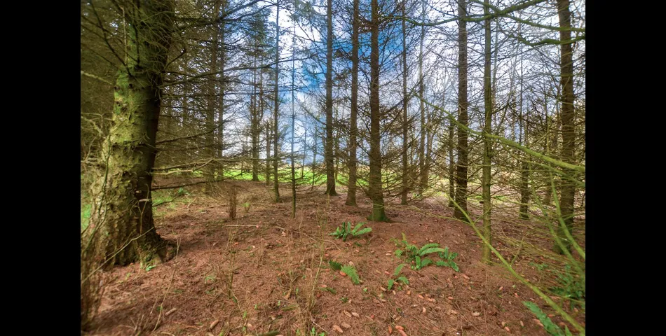  A unique parcel of land within Pembrokeshire Coast National Park