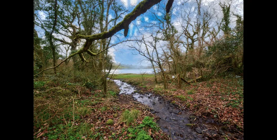  A unique parcel of land within Pembrokeshire Coast National Park
