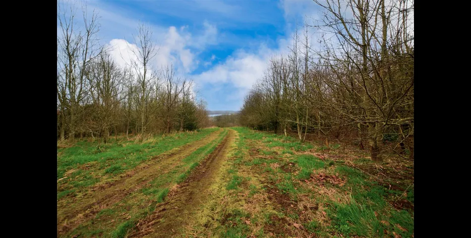  A unique parcel of land within Pembrokeshire Coast National Park