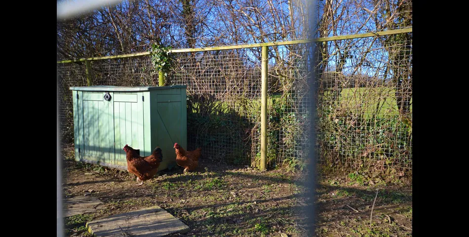 Detached Four Bedroom House, Carmathen