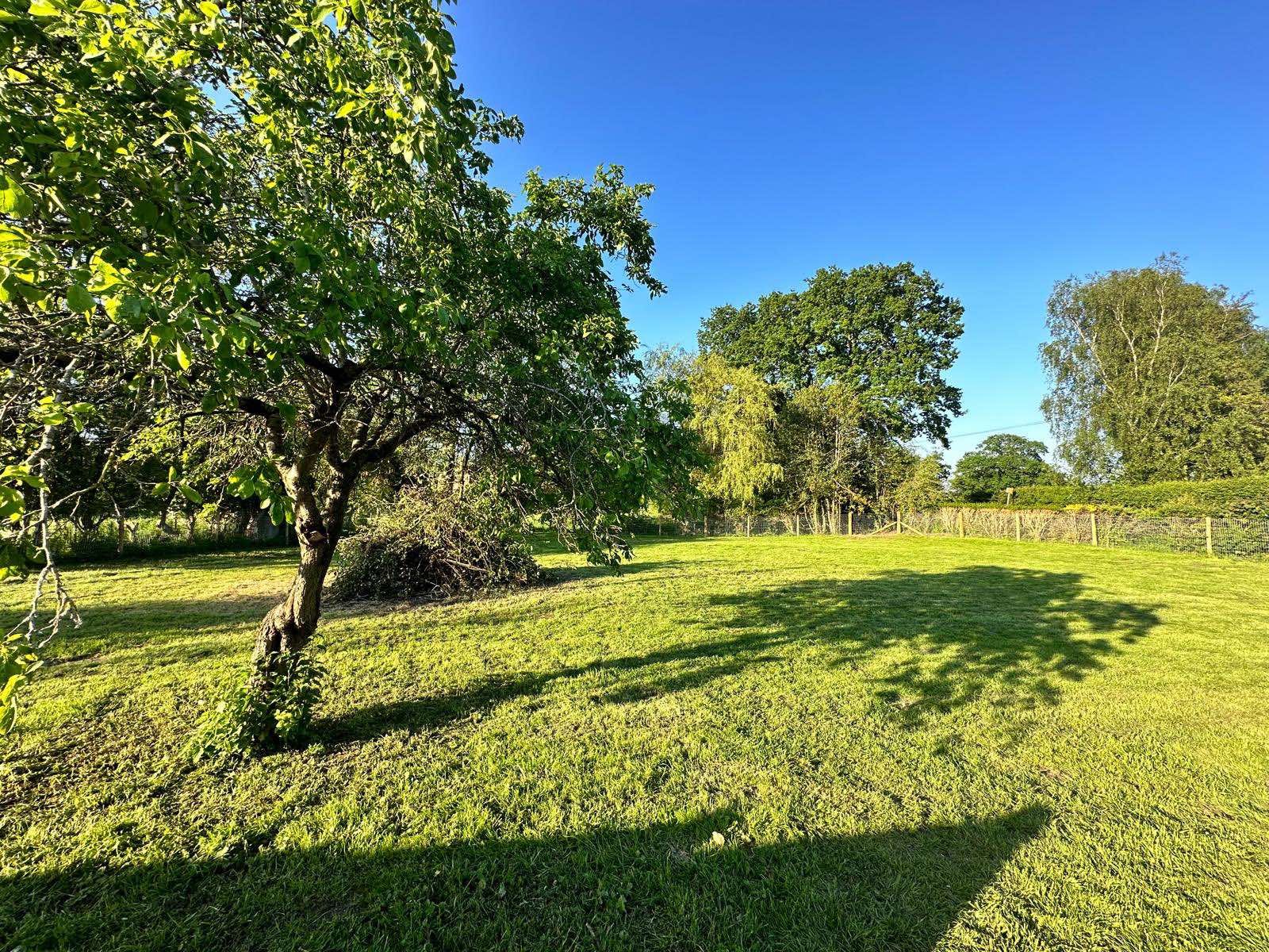 3 bed Bungalow