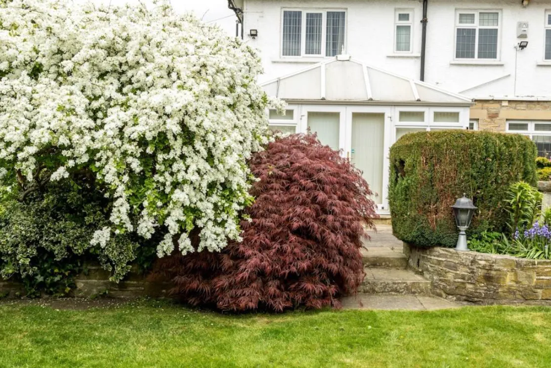 6 bed Detached