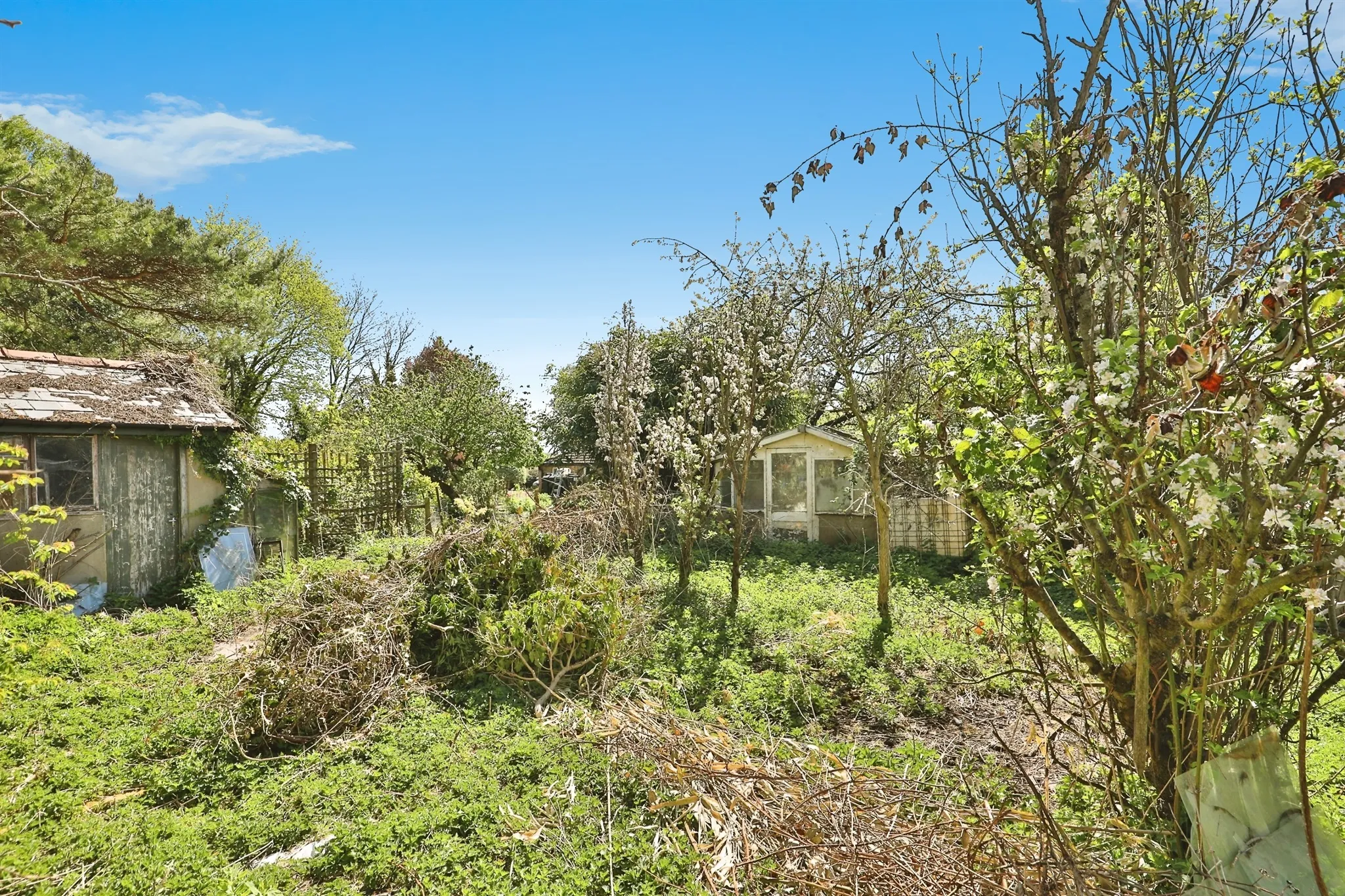 2 bed Character Property