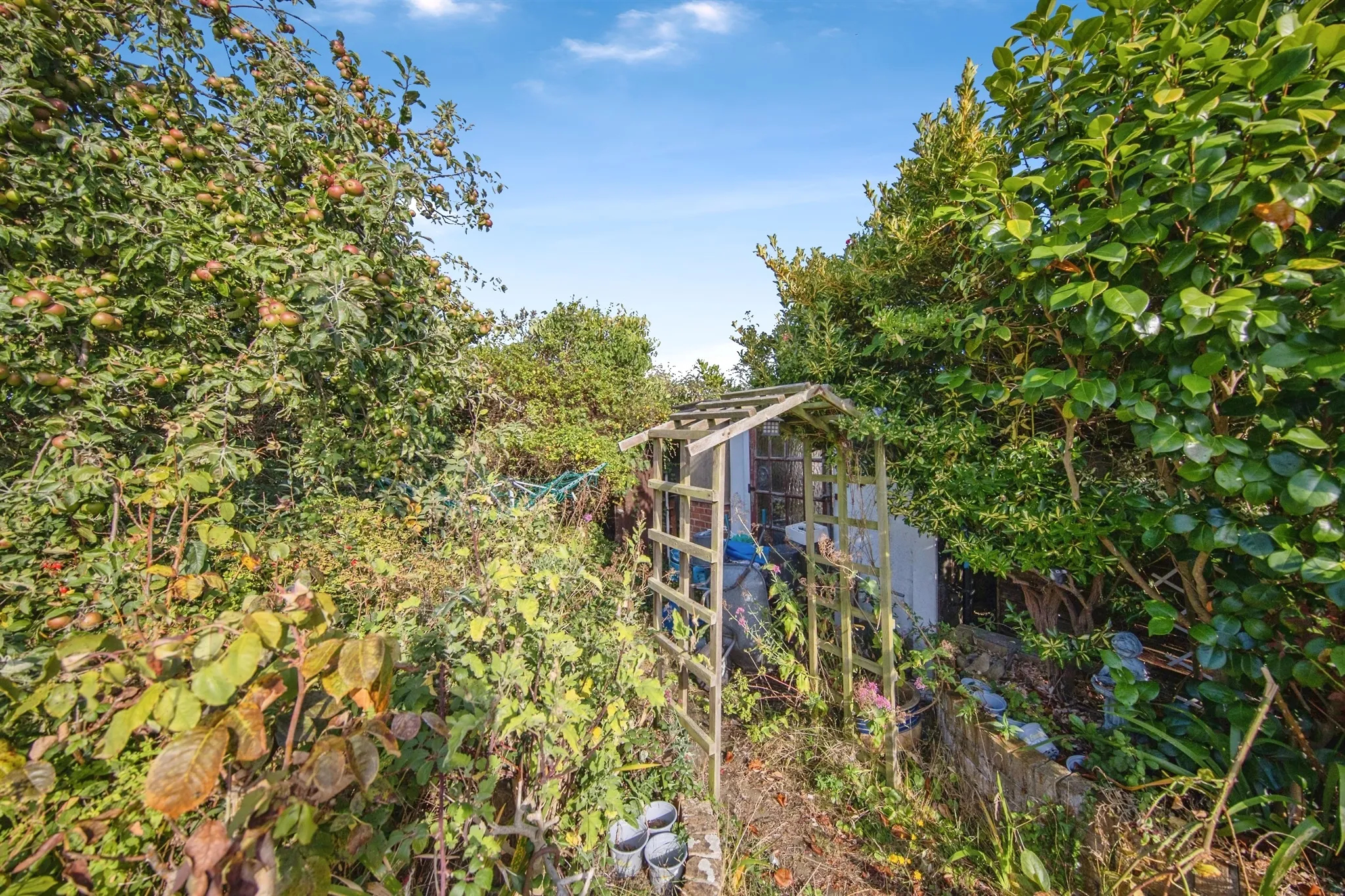 2 bed Detached Bungalow
