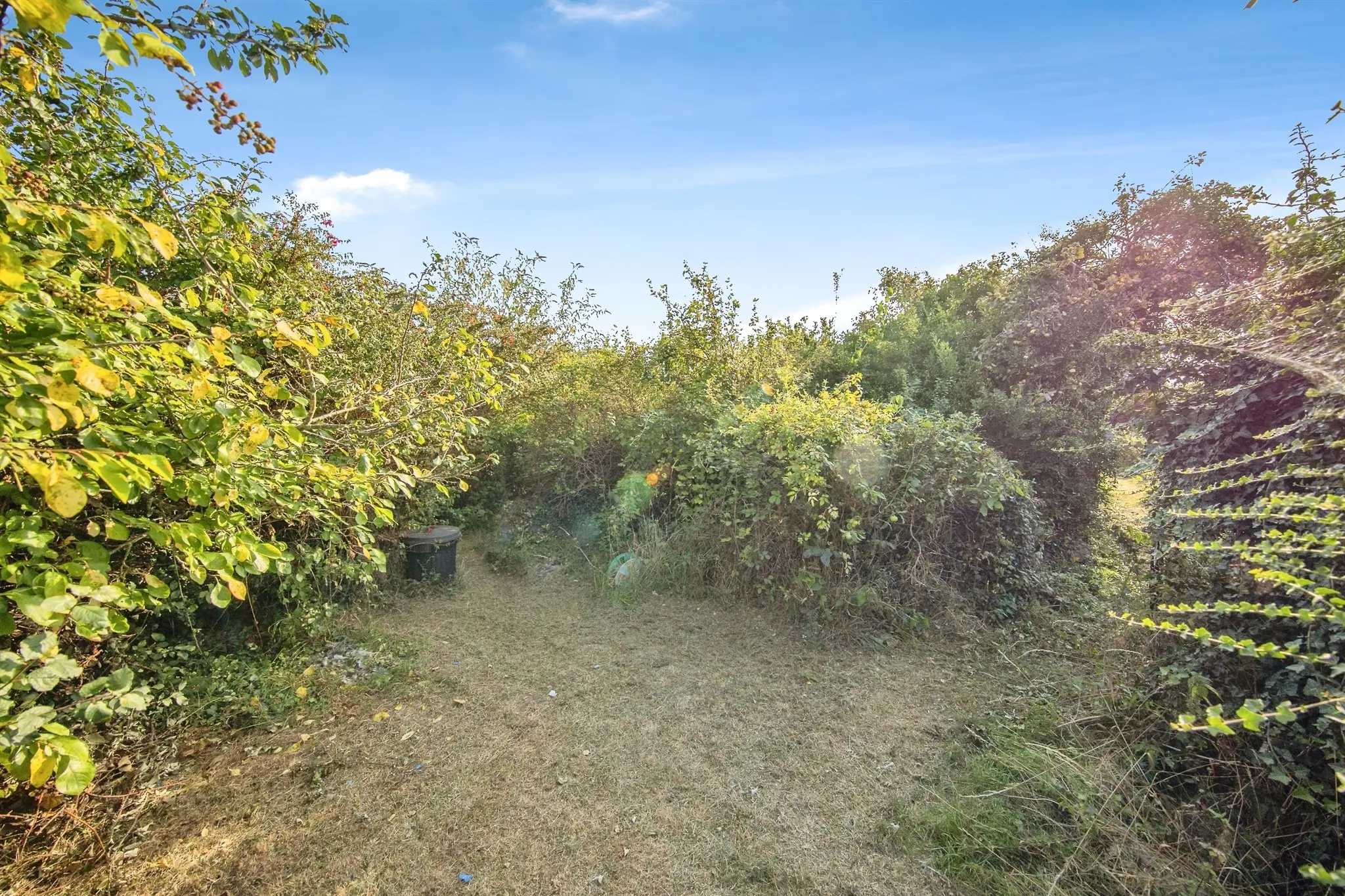 2 bed Detached Bungalow
