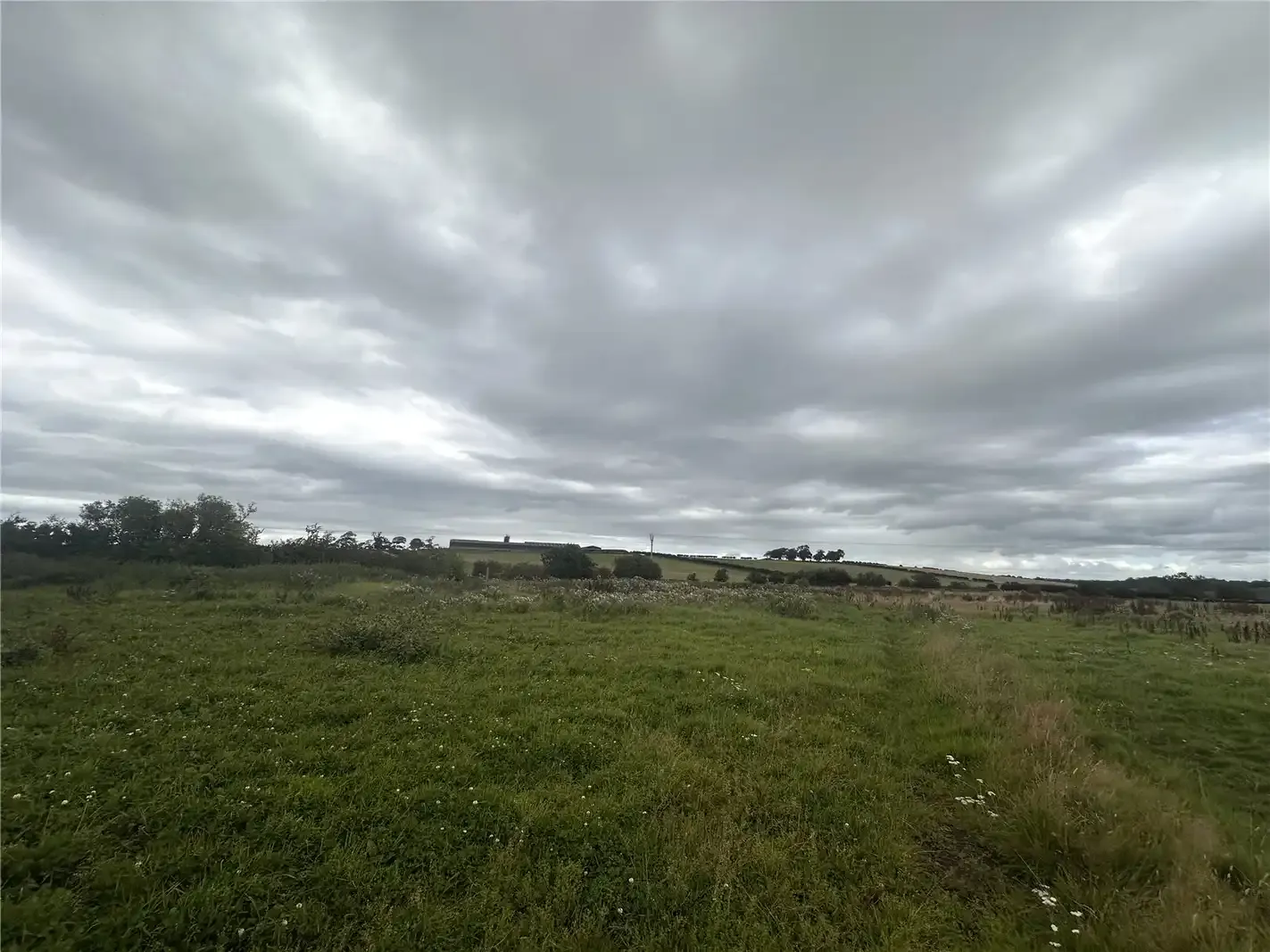 6 Harperland, Dundonald