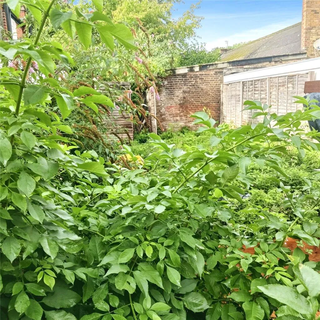 2 bed Mixed Use