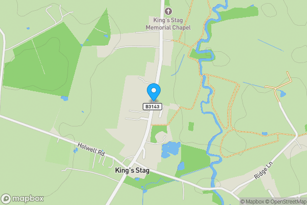 Auction Properties in King's Stag|propertyauctions.io