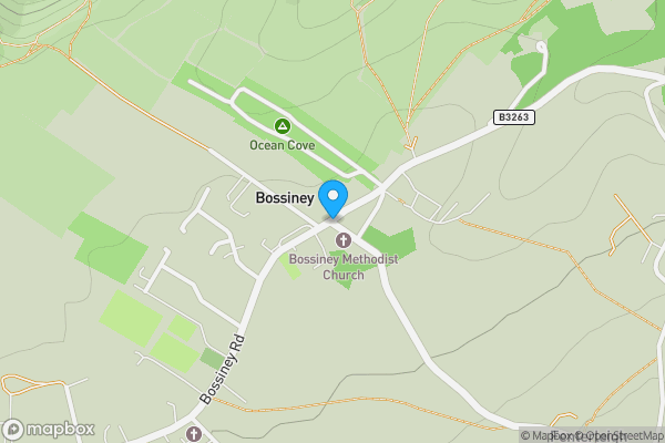 Auction Properties in Bossiney|propertyauctions.io