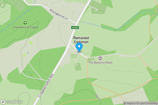 Auction Properties in Ramsnest Common|propertyauctions.io