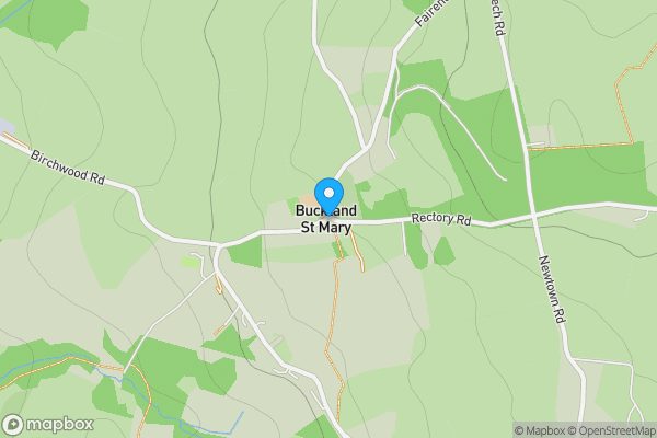 Auction Properties in Buckland St Mary|propertyauctions.io