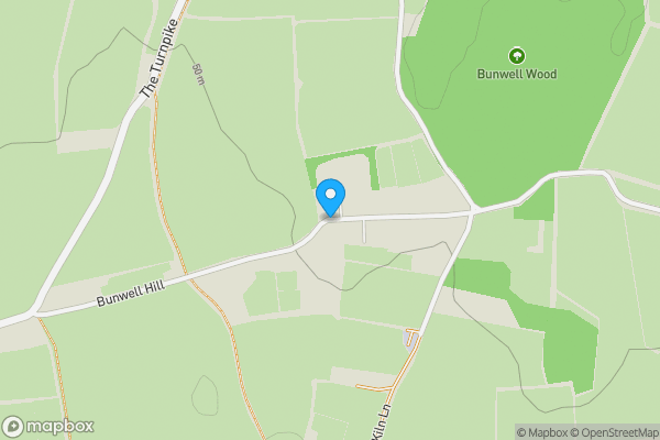 Auction Properties in Bunwell Hill|propertyauctions.io