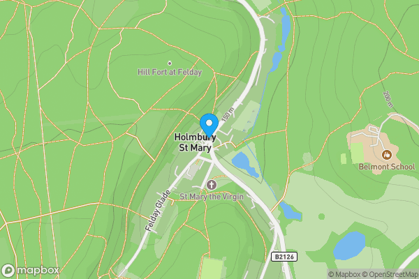 Auction Properties in Holmbury St Mary|propertyauctions.io