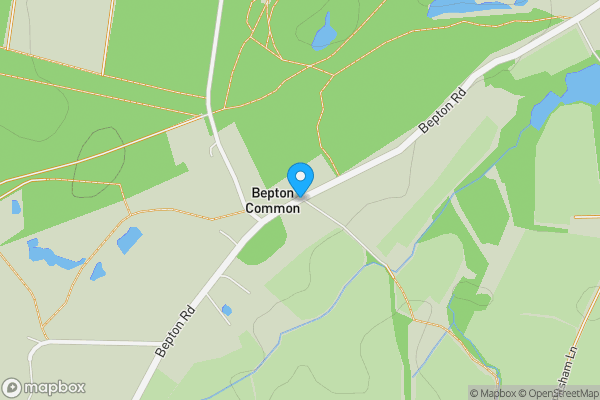 Auction Properties in Bepton Common|propertyauctions.io