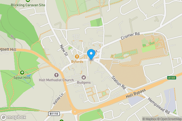 Auction Properties in Holt|propertyauctions.io