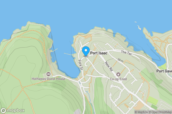 Auction Properties in Port Isaac|propertyauctions.io