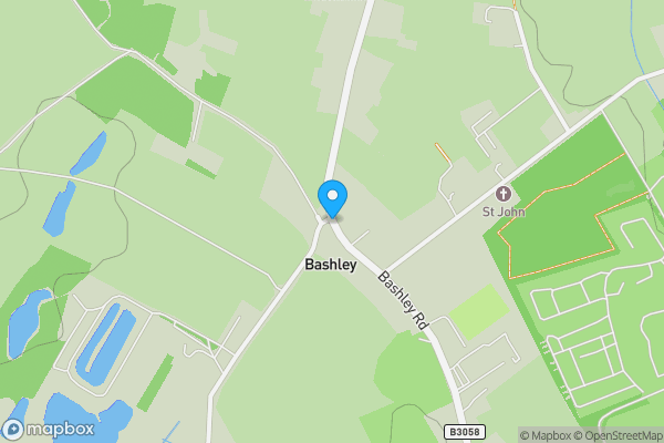 Auction Properties in Bashley|propertyauctions.io