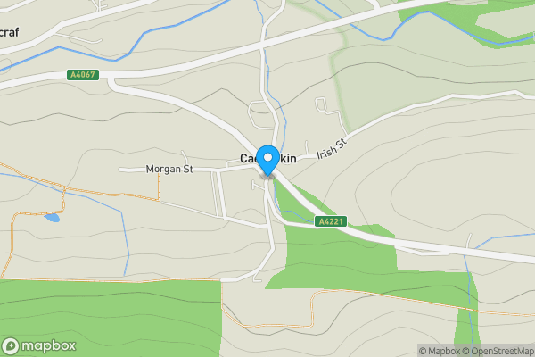 Auction Properties in Caehopkin|propertyauctions.io