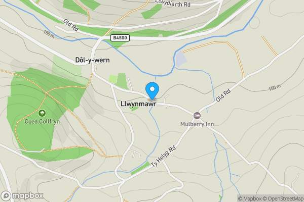 Auction Properties in Llwynmawr|propertyauctions.io