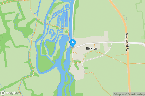 Auction Properties in Bickton|propertyauctions.io
