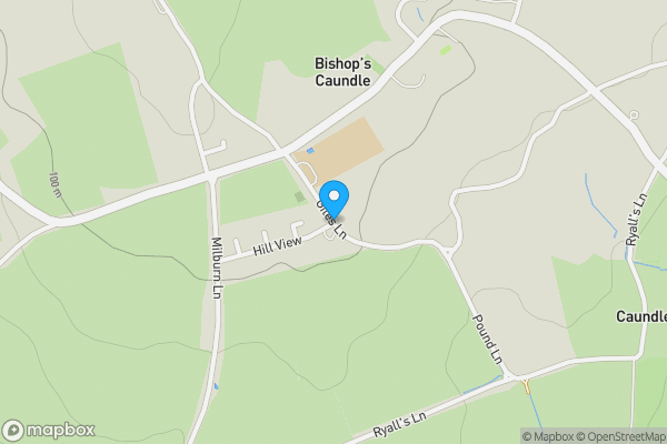 Auction Properties in Bishop's Caundle|propertyauctions.io