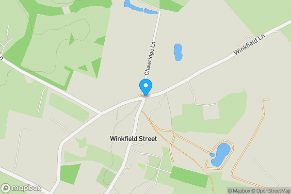 Auction Properties in Winkfield Street|propertyauctions.io