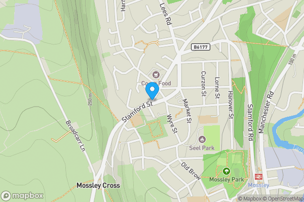 Map location for 219 - 221 Stamford Street, Ashton-under-Lyne, Greater Manchester, OL6 7QH